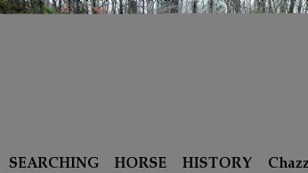 SEARCHING HORSE HISTORY Chazz,  Near Southington, CT, 06489
